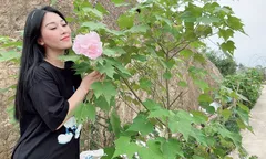 Nông trại vui vẻ