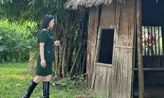 Bộ đội
